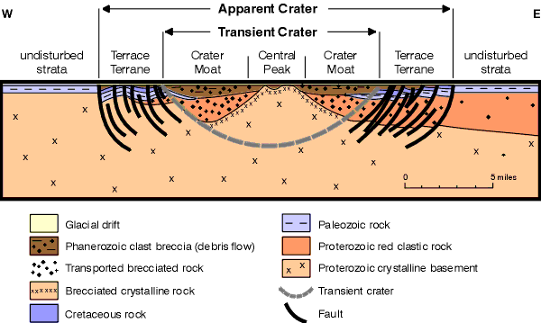 Morphology of MIS.gif